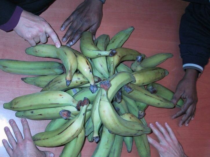 Plantains_fresh_from_Lagos - 115537.1